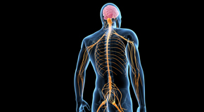 San Jose chiropractic  and spinal manipulation benefits for back and neck pain